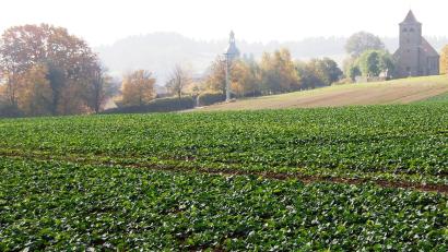 Bild: sm
Diese landwirtschaftliche Fläche soll zum neuen Baugebiet "Queräcker" in Krchendemenreuth werden.