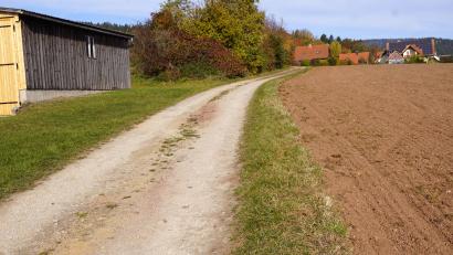Bild: bkr
Vom Anwesen Porst führt der Sandlbauerweg nach Ahornberg. Die Heckenreihe auf der linken Seite nach der Scheune markiert die alte Sandlgasse. Bei der Sanierung der Gemeindeverbindungsstraße auf den Poppenberg soll sie für eine offene Entwässerung der Straße dienen.