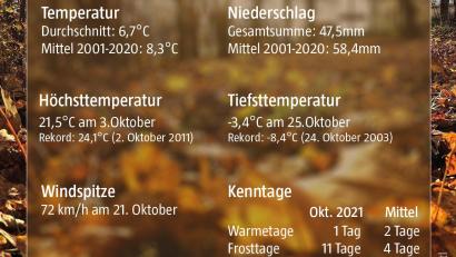 Grafik: David Frahnow/exb - Petra Hartl - NT/AZ
Die Temperaturspanne im Oktober bewegte sich zwischen -3,4 Grad Celsius und 21.5 Grad. Auch sonst präsentierte sich das Wetter in Störnstein zwar nicht exakt durchschnittlich, aber bis auf den Sturm insgesamt moderat.