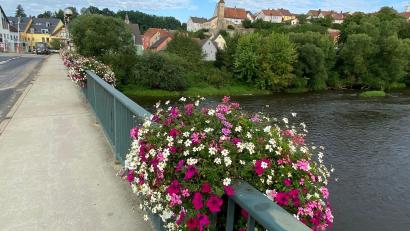 Bild: jua
Die Stadt kauft die Blumenkästen und lässt sie wieder bepflanzen.