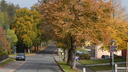 Bild: fz
Der Bereich Schule und Gemeindezentrum wird die erste Maßnahme der Dorferneuerung.