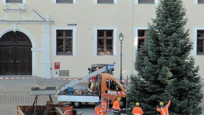 Bild: Wolfgang Steinbacher
Am Dienstagmorgen wurde der Weihnachtsbaum am Malteserplatz aufgestellt.