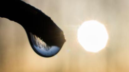 Symbolbild: Julian Stratenschulte
Ein Tropfen Wasser in der Sonne. Die Trinkwasserversorgung wird Bayern und ganz Deutschland in den nächsten Jahren stärker beschäftigten. Auch hier grüßt schon der Klimawandel. Und nicht nur der.