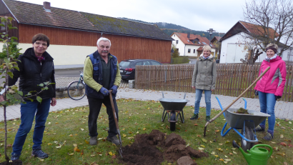 Bild: Angelika Lang-Salzl/exb 
Die Vorstandsmitglieder Stilla Schierdewahn, Hans Köppl, Petra Scharf und Sandra Schiesl (von links) pflanzen vor der Schule einen Apfelbaum.