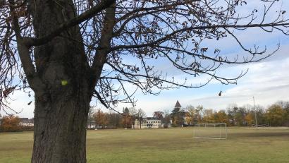 Bild: Gabi Schönberger
Die Stimmung trübt sich am Turnerbundgelände nicht nur wegen des Herbstes ein. Die leere Stadtkasse macht die Entscheidung über die Zukunft der dort geplanten Wohnungen zunehmend schwer.