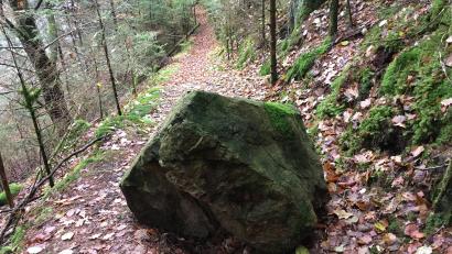 Bild: sl
Der Stein im Weg