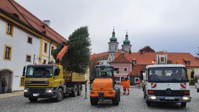 Bild: hmr
Die Mitarbeiter des Stadtbauhofs vorm Aufstellen des Christbaums am Johannisplatz. Am Platz vor der Basilika (im Hintergrund) ist zuvor ein weiterer aufgestellt worden.