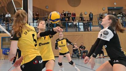 Bild: ref
Die Volleyballerinnen des SV Hahnbach mühten sich gegen den TB ASV Regenstauf, mussten sich aber mit 0:3 beugen (von links): Lisa Kölbel, Mira Sperber am Ball, Celine Schüll und Marie Heidinger.