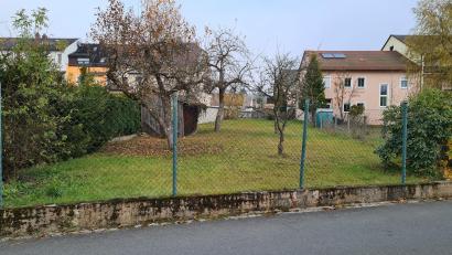 Bild: sne
Eine knappe Sache, aber nun soll hier ein Apfelgarten mit Fußweg zwischen Bahnhofstraße und Am Alten Sportplatz entstehen.