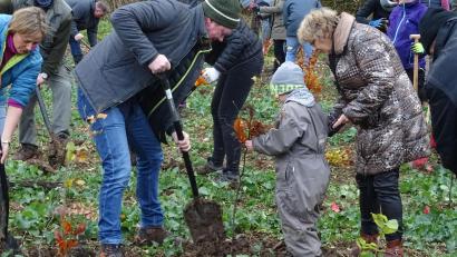 Bild: Houschka
An einer Straße von Ensdorf nach Schwandorf pflanzten die Teilnehmer über 500 Laubbäume.