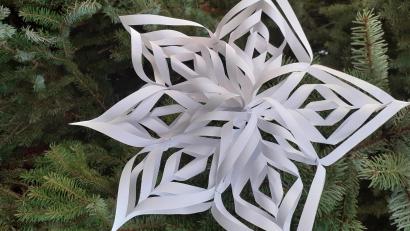 Bild: hka
Ein filigraner Stern aus Papier wird zum dekorativen Advents- und Weihnachtsschmuck.