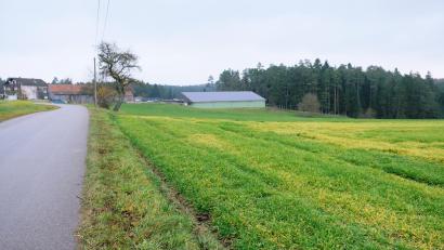 Bild: do
Auf 24 Hektar Größe soll in der Nähe des Vorbacher Ortsteiles Grün bei Oberbibrach auf bisher landwirtschaftlich genutzten Flächen ein Solarkraftwerk entstehen