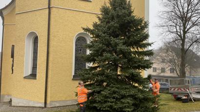 Bild: Josef Glas
Mitarbeiter des Bauhofes stellen den Christbaum auf