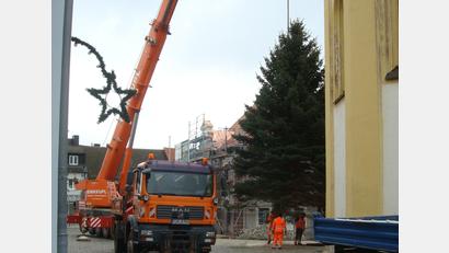 Bild: wmr
Vorsichtig hebt der Autokran den tonnenschweren Baum in die Vertiefung am Kirchplatz. Bis 6. Januar leuchtet das Prachtstück und erinnert an Weihnachten.