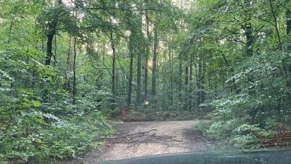 Bild: Paulus Eiberle, Stadt Amberg/exb
Holzblockaden auf den Wegen im Wald sind eine große Unfallgefahr, behindern die Wald- und Forstarbeit – und im Notfall auch den Rettungswagen.