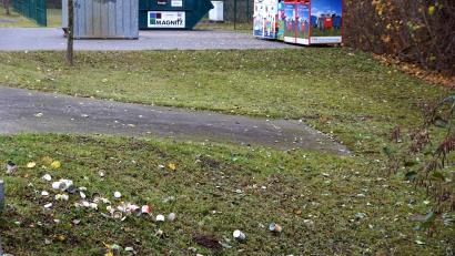 Bild: bkr
Zu den Containern wäre es wahrlich nicht weit gewesen. Doch statt in den Behältern landeten die Dosen in der Natur.