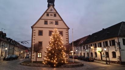 Bild: sne
Schön funkelt der Grafenwöhrer Weihnachtsbaum dem ersten Advent entgegen.