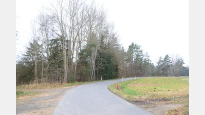 Bild: bey
Der Gehölzbestand links der Straße von Haslhöhe nach Sperlhammer müsste komplett beseitigt werden, um die Photovolatikanlage errichten zu können.