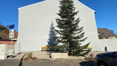 Bild: Wilhelm Amann
Der Christbaum steht. Zwei Buden wird es in seinem Umfeld aber nicht geben.