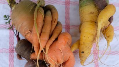 Bild: do
Da hat die Natur wohl ein Kunstwerk gezaubert.