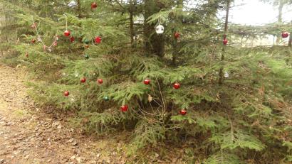 Bild: rn
Die neun Stationen zum Thema "Naturschätze vor unserer Haustür" erhielten eine Zusatzstation: Weihnachten.
