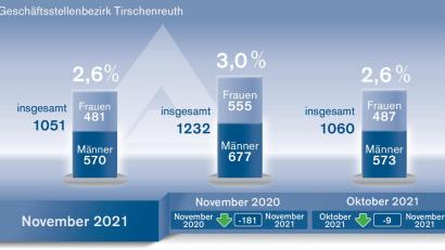 Grafik: Oberpfalz-Medien/Quelle: Agentur für Arbeit Weiden
Die Arbeitslosenzahlen im Landkreis Tirschenreuth für November 2021.