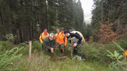 Bild: ubb
Revierförster Oswald Hamann und LBV-Kreisvorsitzender Klaus Krützfeldt (vorne, von links) suchen im dichten Gras nach einzelnen Exemplaren des Alpen-Flachbärlapps. Das Gewächs ist aufgrund des Klimawandels extrem vom Aussterben bedroht. Schutzmaßnahmen am Waldboden sollen es retten.