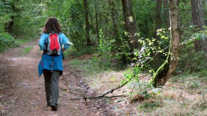 Symbolbild: Gerhard Goetz
Entspannung und Naturerlebnis: Immer mehr Leute sind auf Wanderwegen unterwegs und wünschen sich diese gut ausgeschildert. Der Landkreis Amberg-Sulzbach will nun ein Projekt zur einheitlichen Beschilderung des Wanderwegenetzes zur Leaderförderung einreichen.