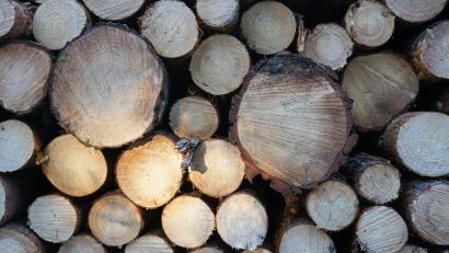 Bild: jut
Lichtblick für die Holzbranche: Die Preise und Verfügbarkeiten haben sich stabilisiert. Allerdings sind damit nicht alle Probleme gelöst.