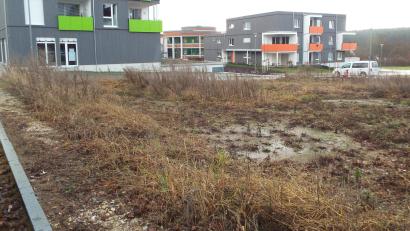 Bild: e
Ein Gemeinschaftsgarten als generationenverbindende Maßnahme: Wo es derzeit noch ziemlich ungeordnet aussieht, könnte in Kümmersbruck mittelfristig eine solche Einrichtung entstehen. Die Lage neben Wohnanlage Herbstwiesen, Arbeiterwohlfahrt, Kindergarten und Schulen bietet sich dafür an.