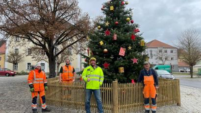 Bild: Robert Kostner/exb
Keine Mannschaft, kein Baum: Damit wollten sich die Pfreimder nicht abfinden. Der neue Bauhofleiter Uwe Groß (vorne, Mitte) bot Hilfe an, der Blumenhof Butz spendierte einen Ersatz-Baum.