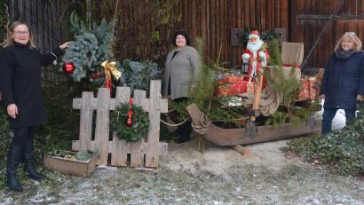 Bild: jr
Der Nikolaus wartet im Innenhof der Gästeinformation auf die kleinen Besucher, die in einer Kiste nach der Weihnachtspost und kleinen Geschenken suchen können. Aufgebaut wurde der Schlitten mit dem Nikolaus von Roswitha Schmeller (Mitte), mit dabei Ursula Stingl (links) von der Gästeinformation, sowie Brigitte Meyer, Vorsitzende des Tourismusvereins.
