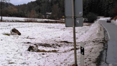 Bild: jp
Diese Felsen sind aus einem Dolomitkopf herausgebrochen, donnernd zu Tal gerollt, über die Straße gesprungen und in der angrenzenden Wiese gelandet.