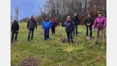 Bild: Brigitte Meyer/exb
Kurz vorm Wintereinbruch haben Mitglieder des Tourismusvereins unter fachkundiger Anleitung im Sibyllenbad-Kurpark Holundersträucher gepflanzt.
