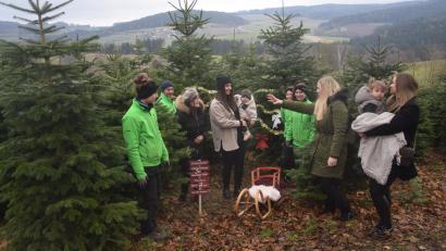 Bild: fz
Fotosession mit Christbäumen: Ein Vohenstraußer Studio nimmt das satte Grün auf dem Christbaumhof in Döllnitz gerne als Hintergrund. Davor postieren sich Müttern und Kinder.