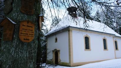 Bild: do
Inmitten eines mächtigen Fichtenbestandes und eingerahmt von uralten Linden, an denen Totenbretter hängen, ist die Waldkapelle Heinersreuth ein sakrales Kleinod. Nun soll das Kirchlein eine neue Kleinorgel bekommen.