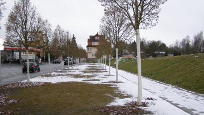 Bild: pz
In seiner Amtszeit seien mehr Bäume gepfanzt als gefällt worden, erklärte Bürgermeister Bernd Sommer und verwies dabei auf den Skatepark an der Mitterteicher Straße (Bild).
