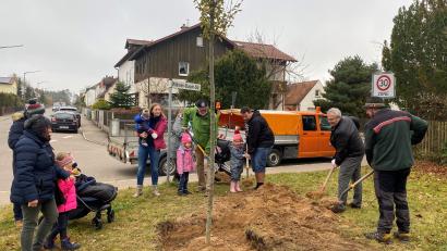 Bild: Maria Schuierer/exb 
OB Andreas Feller (Zweiter von rechts) und Forstoberinspektor Thomas Hebauer (rechts) pflanzen gemeinsam mit den Kindern, Eltern und Großeltern den Jubiläumsbaum.