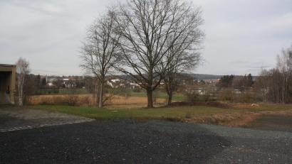 Bild: Harald Hertel/exb
In Waldsassen sind im Gebiet "Teufelswehr" diese Bäume beseitigt worden (Aufnahme vom März 2016), was Ende November für Ärger sorgte und nun noch einmal Thema im Stadtrat war.