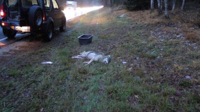 Bild: Lehner
Die Unfallstelle an der B470 im Gemeindebereich Schwarzenbach.