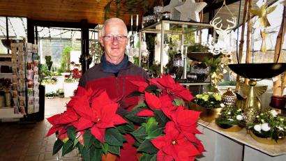 Bild: ubb
Gottfried Fröhlich hat viel Erfahrung auch mit Weihnachtssternen. Der 63-jährige Gärtnermeister ist seit fast 30 Jahren selbstständig und hat die schönen Winterblüher auch schon in seinen Treibhäusern selbst kultiviert.