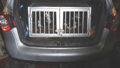 Bild: Polizeiinspektion Waldsassen/exb
Anbei ein Foto der Antreffsituation der Hundewelpen.