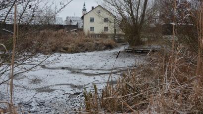 Bild: jr
Eine Komplettsanierung erfährt der Dorfweiher in Bad Neualbenreuth, Nähe des früheren Raiffeisenareals. Schon im Januar soll mit ersten Arbeiten begonnen werden.