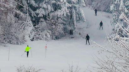 Bild: bsc
In den Höhenlagen des Steinwalds fanden Skilangläufer am Wochenende ausgezeichnete Loipenverhältnisse. Ein Großteil der 50 Kilometer langen Steinwaldloipe wurde von Heiner Denz mit dem Pistenbully bereits gut präpariert.