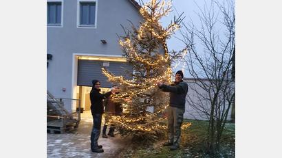 Bild: fvo
Der Oberbernriether Christbaum steht