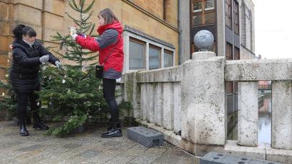 Bild: Wolfgang Steinbacher
Zorka Dotto (links) und Ina Bogner vom Stadtmarketing verschafften sich am Montag einen Überblick über den Schaden, den die Vandalen in der Nacht von Samstag auf Sonntag in der Altstadt hinterlassen haben.