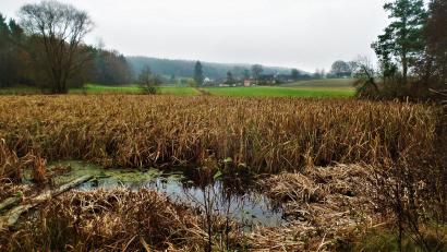 Bild: jml
Landschaft, fast wie im Winterschlaf.