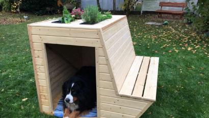 Bild: Hannah Rieder/exb
Diese Hundehütte hat Montessori-Abschlussschülerin Hannah Rieder als Projektarbeit gebaut.