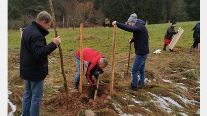 Bild: Gemeinde Kohlberg/exb
Gemeinderäte beim Bäumepflanzen: Neue Obstbäume für die Streuobstwiese am Naturerlebnisweg mussten kurzfristig in die Erde, viele Gemeinderäte waren spontan dabei und halfen mit.