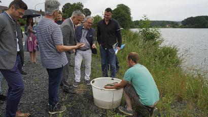 Bild: Eger
Stefan Stock (rechts) hatte einige Karpfen als Anschauungsobjekt aus dem Kornthaner Weiher gezogen. Interessiert sehen Fischereipräsident Gero Clemens Hocker, Wiesaus Bürgermeister Toni Dutz, Landrat Roland Grillmeier, Teichwirt Hans Klupp und Landtagsabgeordneter Christoph Skutella (stehend von rechts) zu.